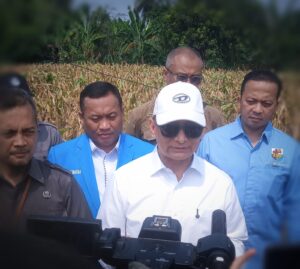 Panen Jagung KNPI Lebak, Wagub Dimyati: Pemuda Malu Jadi Petani? Ini Buktinya Keren!