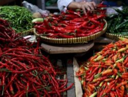 Harga Cabai Rawit di Pasar Anyar Tangerang Tembus Rp 80 Ribu, Emak-emak Menjerit