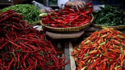 Ilustrasi tumpukan cabai rawit merah dan cabai hijau di pasar tradisional Tangerang