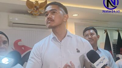 kaesang pangarep ketum psi caleg dpr dapil jateng v pemilu 2029 nalar24