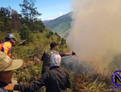 Bromo Darurat Asap! 150 Personel Gabungan Berjuang Padamkan Api di Tengah Angin Kencang