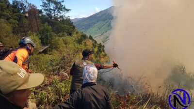 Bromo Darurat Asap! 150 Personel Gabungan Berjuang Padamkan Api di Tengah Angin Kencang