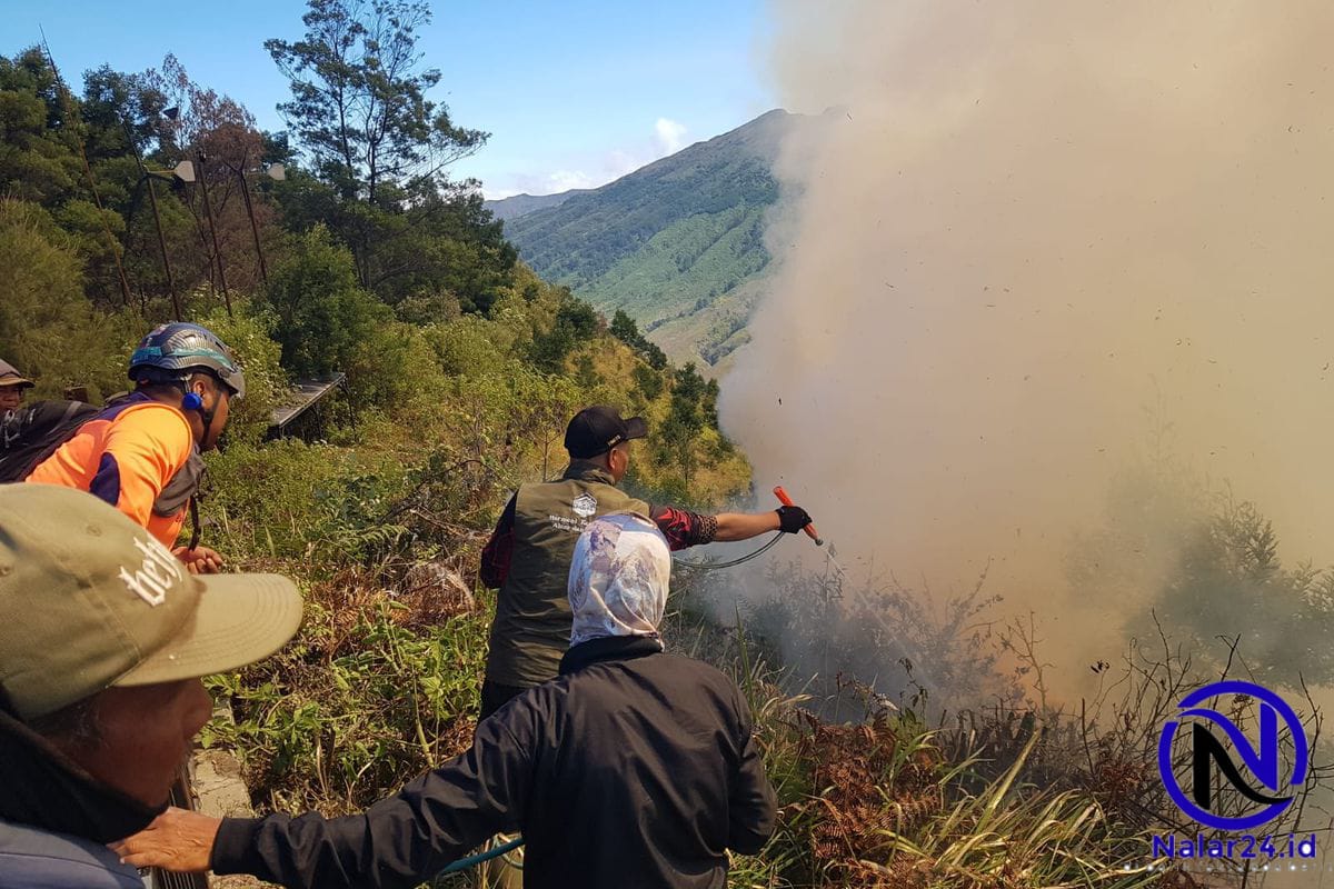 relawan padamkan api bromo karhutla`