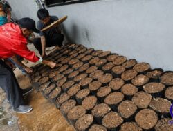 Gratis dan Cukup 6 Langkah, Warga Tangerang Kini Bisa Dapatkan Bibit Lewat Bank Pohon