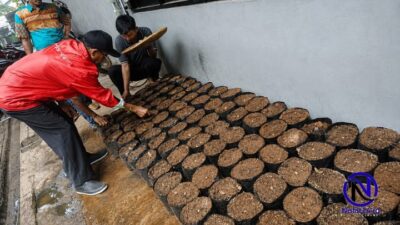 Gratis dan Cukup 6 Langkah, Warga Tangerang Kini Bisa Dapatkan Bibit Lewat Bank Pohon