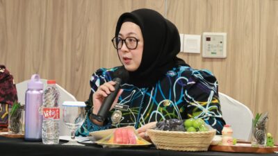 Wakil Bupati Tangerang Intan Nurul Hikmah saat memberikan sambutan pada sosialisasi iBangga