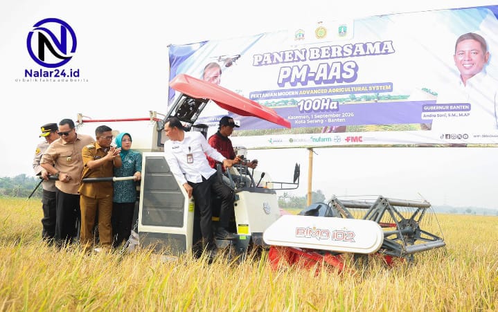Suasana panen bersama PM-AAS 100 Ha di Kota Serang