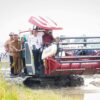 Gubernur Andra Soni Panen Padi PM-AAS di Serang, Hasil Capai 12,88 Ton/Ha