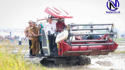 Gubernur Banten Andra Soni menaiki combine harvester saat panen padi PM-AAS di Kelurahan Kasunyatan Kecamatan Kasemen Kota Serang`