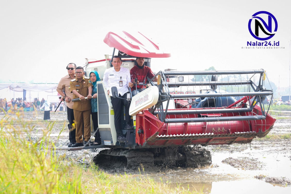 Gubernur Banten Andra Soni menaiki combine harvester saat panen padi PM-AAS di Kelurahan Kasunyatan Kecamatan Kasemen Kota Serang`