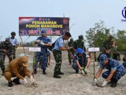 Peringati HUT ke-81 TNI, Lanud H. AS Hanandjoeddin Tanam 1.000 Pohon Mangrove di Belitung