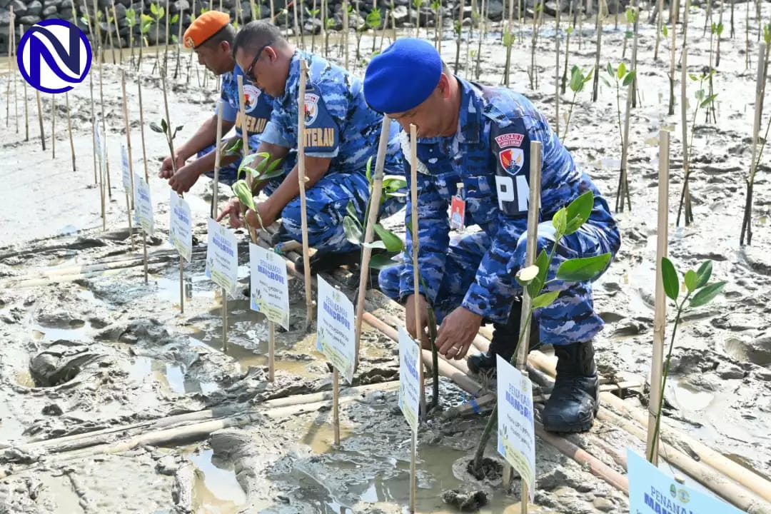 Personel Lanud Sugiri Sukani dan Lanal Cirebon menanam bibit mangrove di Pantai Baro Gebang