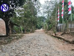 Viral Jalan Berbatu di Cibaliung Pandeglang, Ibu Dorong Kursi Roda Anak ke Sekolah Nyaris Terguling