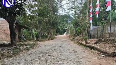 Viral Jalan Berbatu di Cibaliung Pandeglang, Ibu Dorong Kursi Roda Anak ke Sekolah Nyaris Terguling