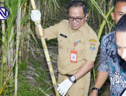 Pemkab Tangerang Dorong Desa Cikuya Jadi Desa Komoditi, Cetak Petani Muda Go Agribisnis Modern