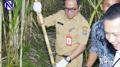 Pemkab Tangerang Dorong Desa Cikuya Jadi Desa Komoditi, Cetak Petani Muda Go Agribisnis Modern