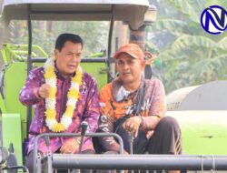 Panen 275 Hektare Sawah di Mauk, Bupati Tangerang Dorong Ketahanan Pangan dan Kesejahteraan Petani di HUT ke-394