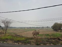 Ketum GARI Kritik Kinerja Dinas Pertanian dan Ketahanan Pangan Kabupaten Tangerang Terkait Nasib Petani